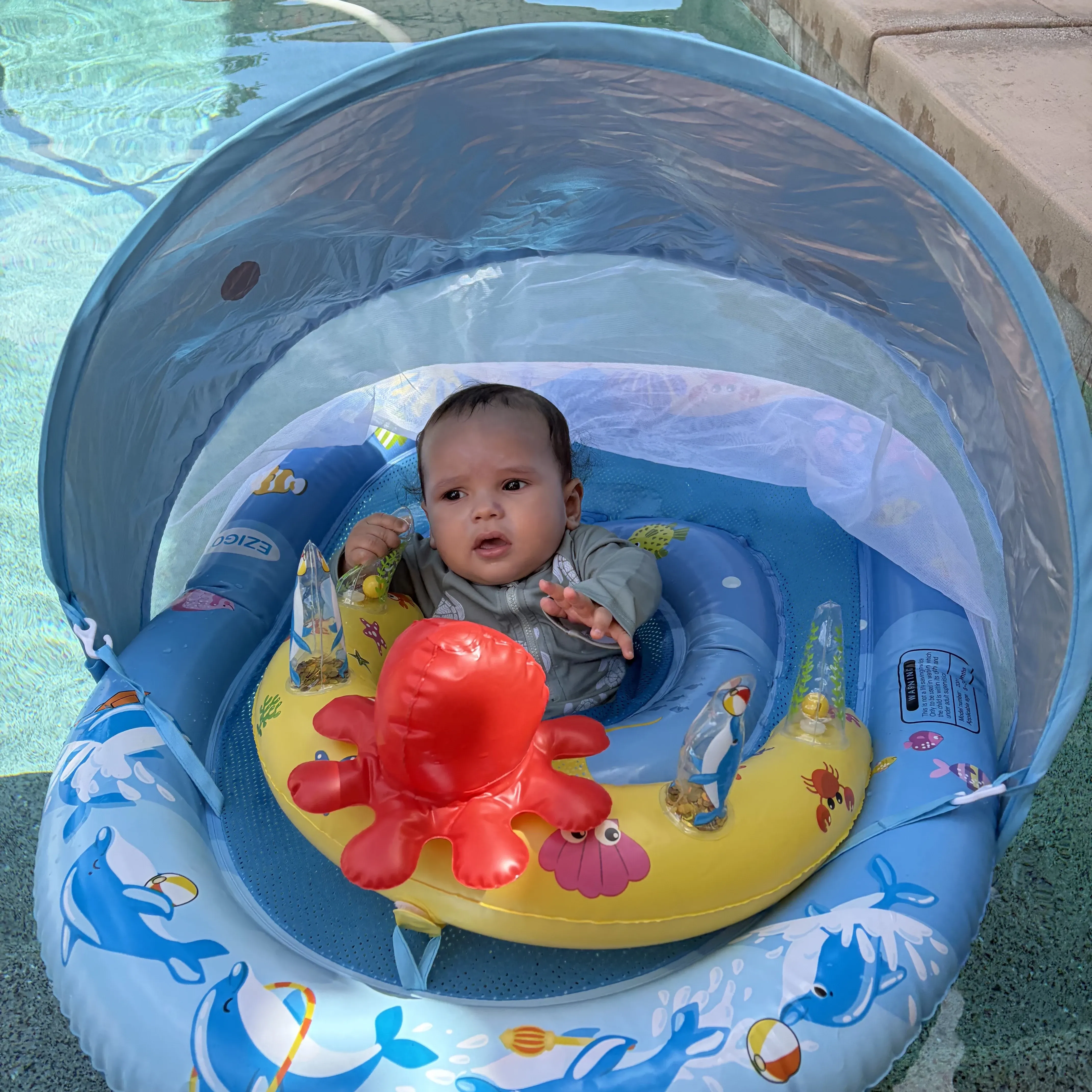 Noah sitting in his canopy pool floatie reaching for a toy crab